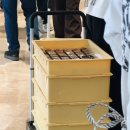 월드무역 | 잠실 롯데월드몰 두쫀쿠 팝업 프랑스루브르바게트(현대백화점 무역센터점 두쫀쿠 비교후기를 곁들인...)