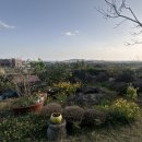 지오아라 이미지