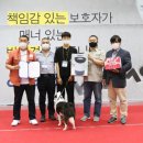 한국애견대학 이미지