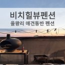 비치힐 뷰 | 인천 을왕리 비치힐뷰하우스펜션 강아지랑 1박 2일 힐링 여행