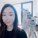 엔일공구 이미지