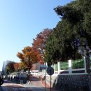 매산초등길 티스토리
