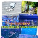신한매점 - 평택시 신한1길 26 | 여수 아쿠아 플라넷 할인 주차장|투명보트 체험 공연까지 아이랑 솔직 후기