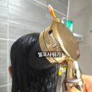 웰포유 - 남동구 논고개로123번길 35 | 웰포유 이샤워락 세트 후기, 필터샤워기와 구강세정기 한 번에 쓰는 가족템
