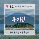 기분조은날 카 | [도쿄자유여행]“도쿄 근교 후지산 데이투어 완벽정리” 솔직한 내돈내산 비추후기