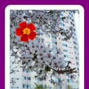 씨유의정부흥선로 이미지