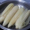 청양알프스산양목장 이미지