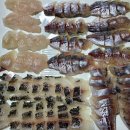 명운농장 | 생활낚시무료체험 가두리양식장 미역양식장에서 벵어돔낚시 뽈락낚시 쏨벵이낚시 전갱이낚시 한산섬으로...