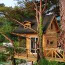 트리민박 이미지