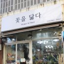 꽃을닮다 이미지