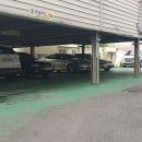 자이언트 스크린골프 이미지