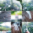 카페하라 - 오산시 청학로 48 | 카페하라
