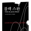 블랙스완 이미지