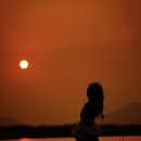 수나(SUNA) 이미지