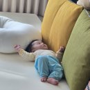 대성자라