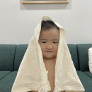 소사(SOSA)