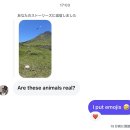 후쿠오카 정복기