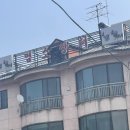 태봉염소장터 이미지