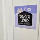 르폴스튜디오 이미지