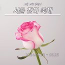 중랑 서울장미축제 기본정보, 주차, 일정, 프로그램 정보