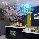 미샤스크린골프 이미지