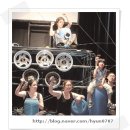 비트위트 이미지