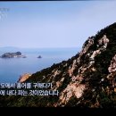 홍어이야기 이미지