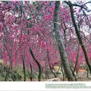 수양목장 이미지