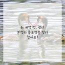 가야1공인중개사사무소 이미지