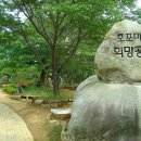 새동네다방 이미지