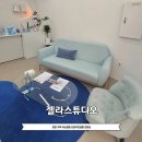 샵젤라