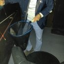 임학낚시터 이미지