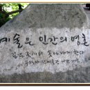 수덕사 선미술관 이미지