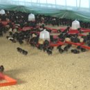 원종축산 이미지