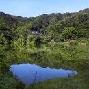 옥성자연휴양림 이미지