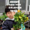초록나라식물원 이미지