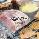 군산 소룡동 NEW 버전 명륜진사갈비 군산소룡점 _ 가족외식으로도 좋은 숯불돼지갈비 무한리필 다양한...