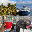 제주섬마리 | 제주투어패스 24시간 사용후기 (ft. 제주 여행 체험 박물관 카페 15만원 절약)