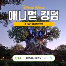 와일드라이더스 | [ 미국 여행 ] 올랜도 디즈니월드 ⑦ 애니멀킹덤 INTRO
