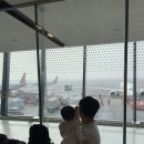 소길힐하우스 민박 | 여행 갈만한곳과 일기 (이니스프리 제주하우스, 오설록, 카멜리아힐, 이끼숲소길, 팀플로우, 터틀리애)