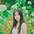 스타일펫츠 이미지