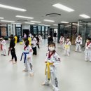 륜 태권도장 이미지