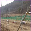 준현농장(3) 이미지