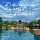 방콕 몰디브 컨셉 버블 인 더 포레스트 카페 예약 방문 후기