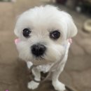 추석 연휴 매장은 이미지