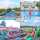 주식회사 오아시스카워시 | 반얀트리 서울 호텔 오아시스 수영장 입장권 가격 호캉스