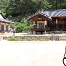 노송정종택