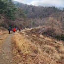 금산면사무소 이미지