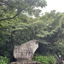 곶자왈노크 | [제주도 곶자왈:교래자연휴양림] 제주도 부모님 모시고 가볼만한 곳 *내돈내산