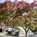 이안힐링랜드 이미지